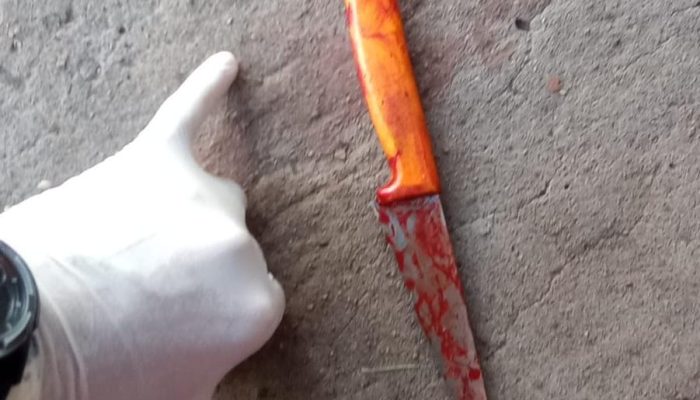 AFE49430-0D1E-4405-B6E2-E8F92D2E7FC1