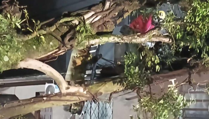 Foto: Corpo de Bombeiros Militar de Carazinho