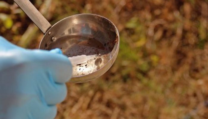 Agentes-da-dengue-Ana-Biondo-6-500x370