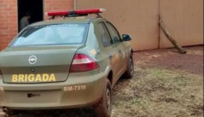 Assalto-e1446724228899-239x300