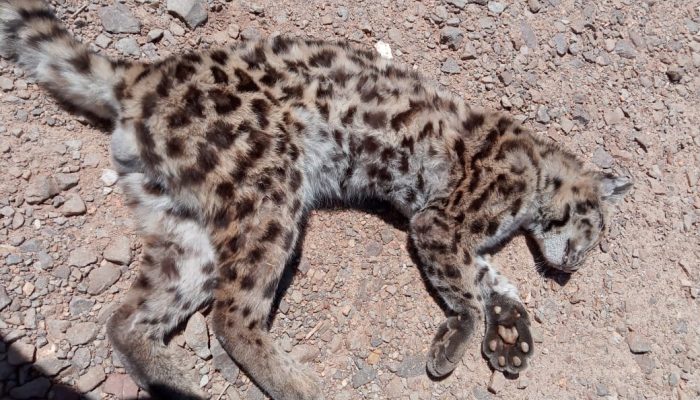 BF4D0851-F61E-48FA-B6C2-6403A174BF7B