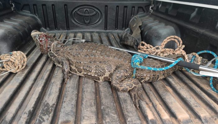 C8BD8EFA-4793-43C4-BED9-F2B48C4FDC42