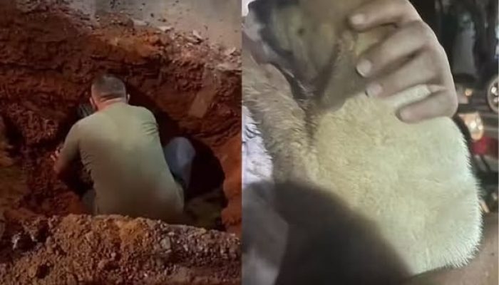 Foto: @protetoraanalucia520 / Instagram