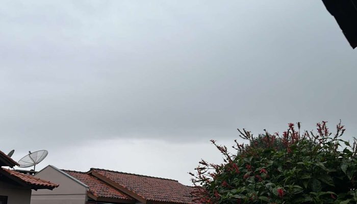 CC560CCC-BA61-4E48-A86D-67DCCB145EBA