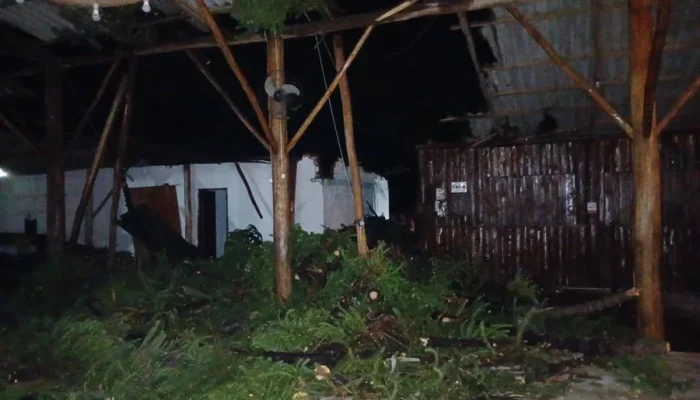 Foto : Mara Steffens / O Correspondente / Divulgação