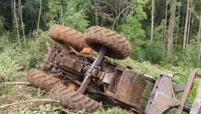 DFACDEC6-034B-4370-AF1A-8AF7AFAB7824