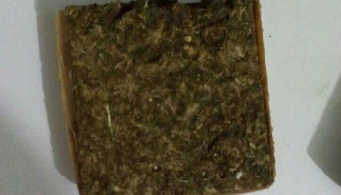 Foto: Divulgação/BM