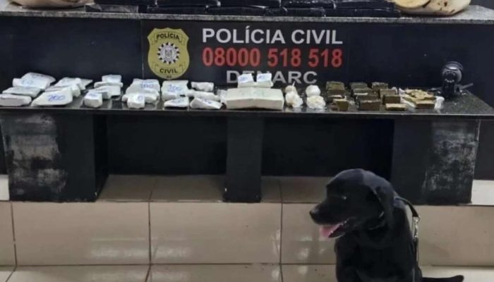 Foto: Divulgação Polícia Civil