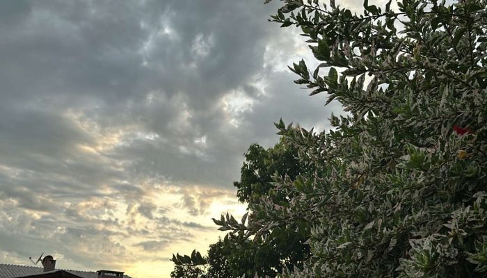 E070FA62-B34A-4C89-984E-8662C2DE5AF1