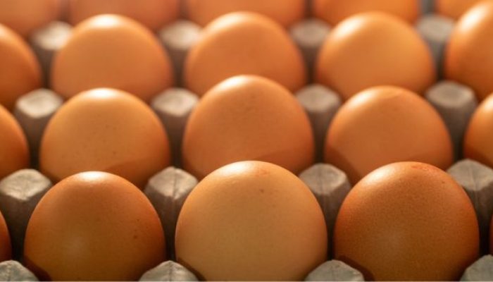 E101D3F6-3680-4719-BED3-03498285BC48