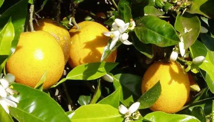 E5344C2B-02B1-475F-A684-139FD9DDD715