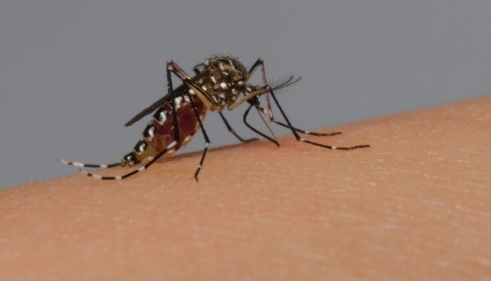 EAEE732A-3065-465C-A0F7-98B8F358A3DB