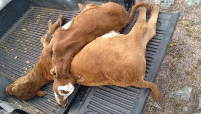 ED9F5218-BF83-49B6-8584-8DBA9587CDA7