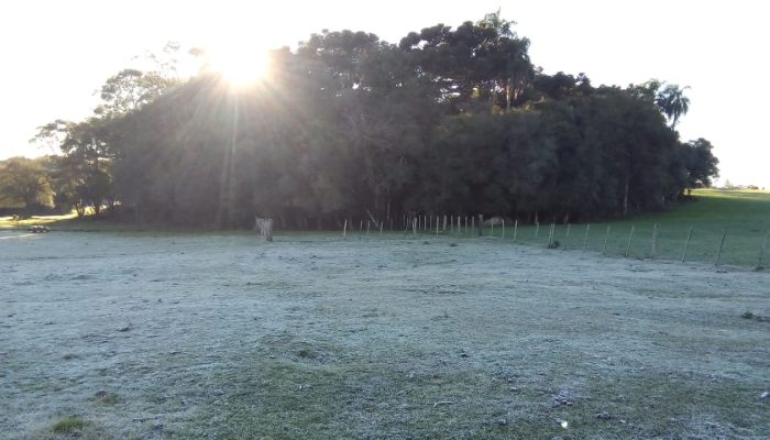 Foto: Eduardo Borba Neves - Júlio Cardoso/Espumoso