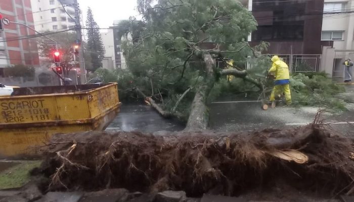 Equipes-da-Prefeitura-trabalham-para-minimizar-estragos-causados-pelo-ciclone-em-Caxias-do-Sul