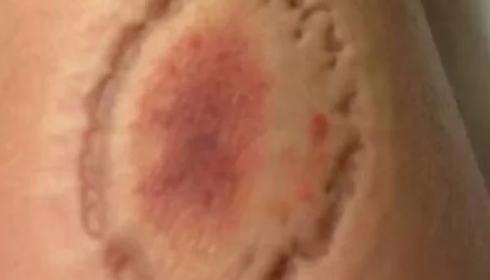 F1313E28-8BD7-4DC4-A42F-A48674614E79