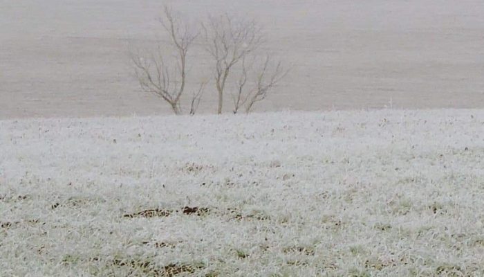 Foto: Cláudia Regina Gomes