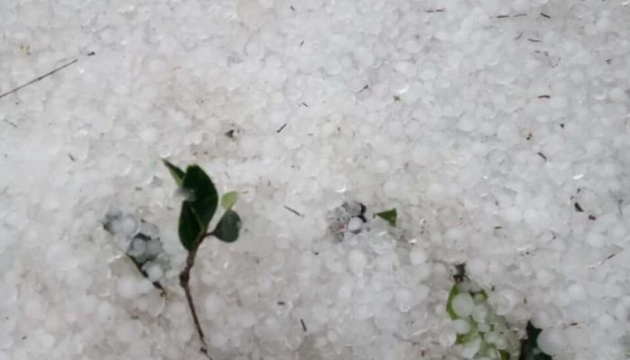 FB_IMG_1680117184357