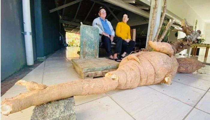 FB_IMG_1682593405147