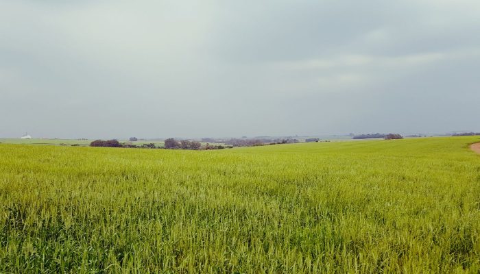 Foto: Jonatan Palla/ ClicEspumoso