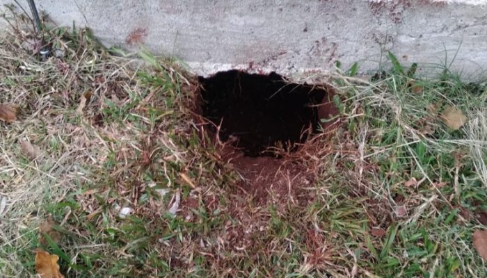 Fuga-apenados-Pecar-1-1-768x1024