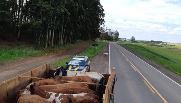 Créditos: Divulgação/PRF.