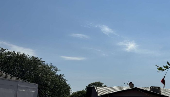 IMG_0794