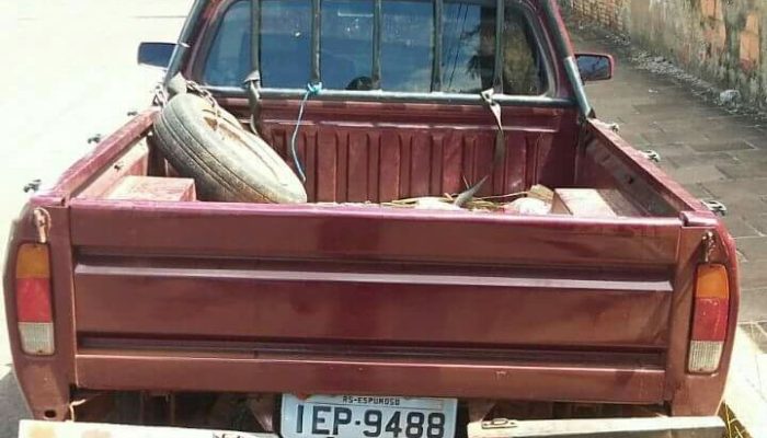 IMG_20170207_094719_116