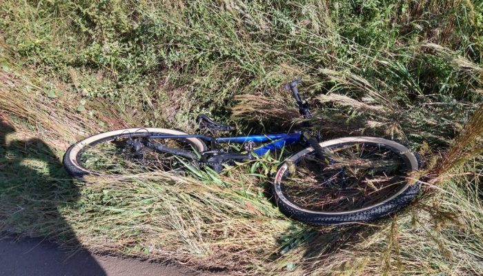 IMG_20210314_085640833_HDR-1024x768