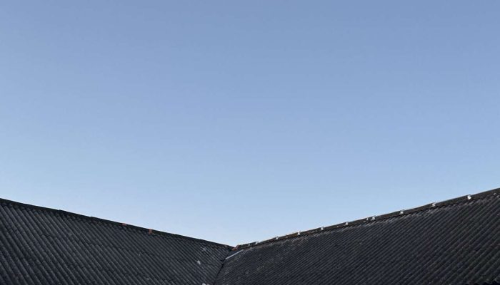 IMG_2954