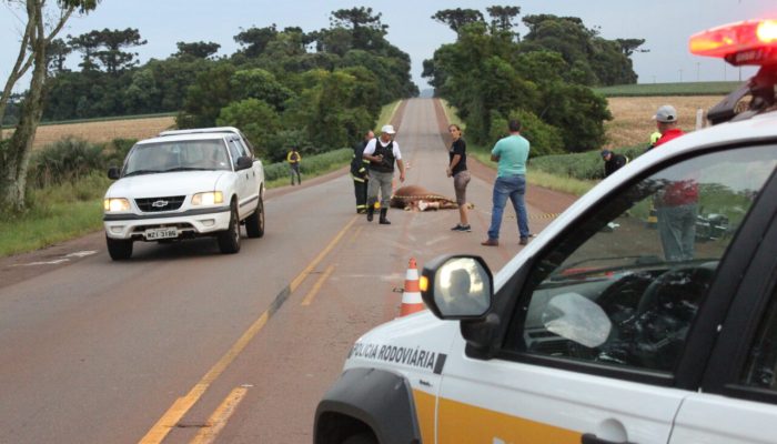 Foto: Jonatan Palla/ClicEspumoso