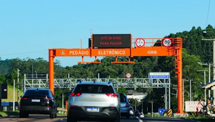 Foto : Pedro Piegas