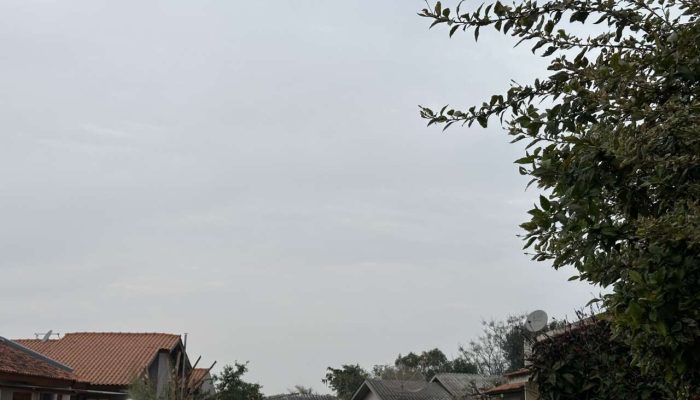 IMG_5658