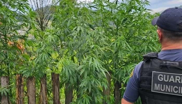 Foto : GM/Divulgação