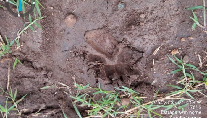 Créditos: Divulgação/3°BABM