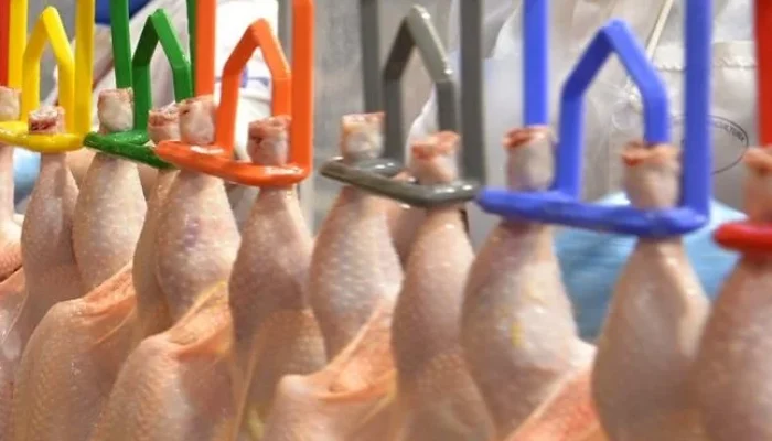 Processamento de aves em acordo entre Seara e JBS_Foto Leandro Hamester