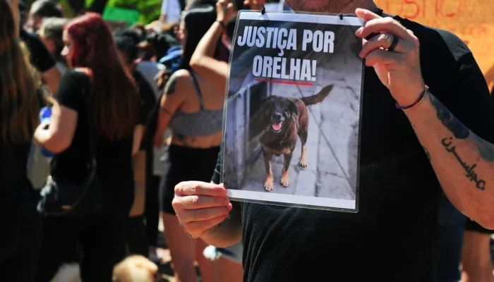 Foto : Fabiano do Amaral