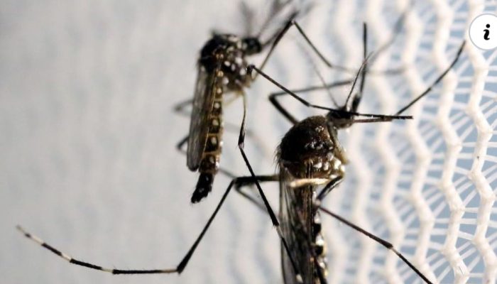 Screenshot_20230414_164556_Facebook