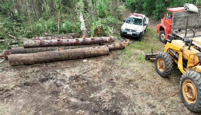 Screenshot_20250207_092435_Facebook