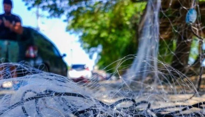 Screenshot_20250210_091942_Google