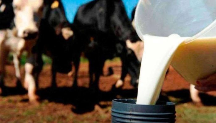 Screenshot_20250213_135124_Facebook