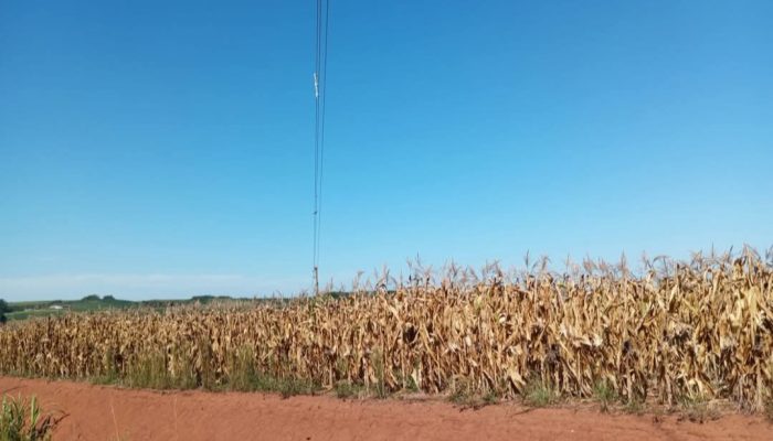 Screenshot_20250217_153916_Facebook