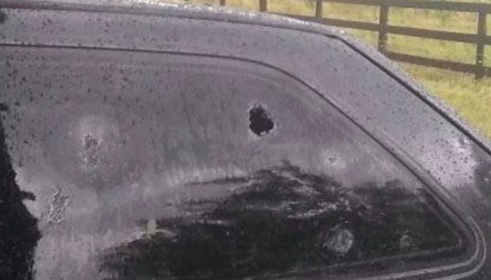 Screenshot_20250218_151729_Facebook