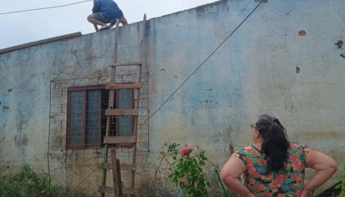 Screenshot_20250401_135903_Facebook