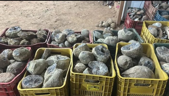 Screenshot_20250403_102836_Facebook