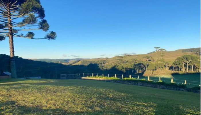 Screenshot_20250429_134701_Facebook