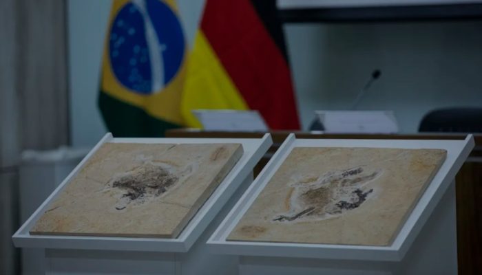 Imagem: Agência Brasil/ Agora no Vale.