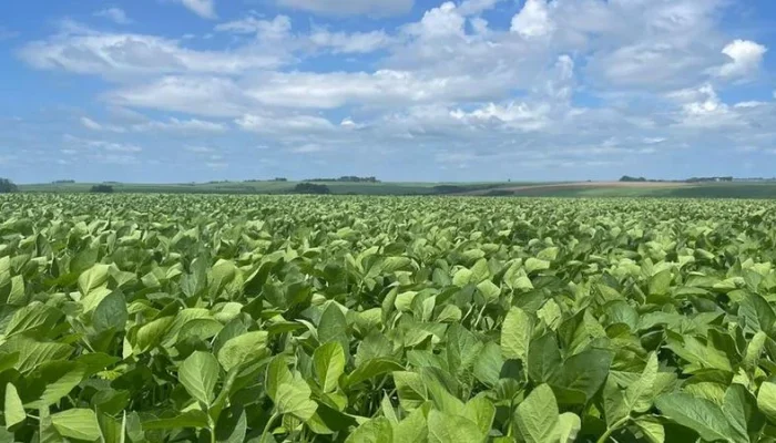 Foto: RTC / Divulgação