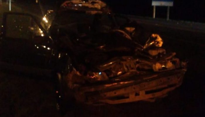 Imagem: Divulgação