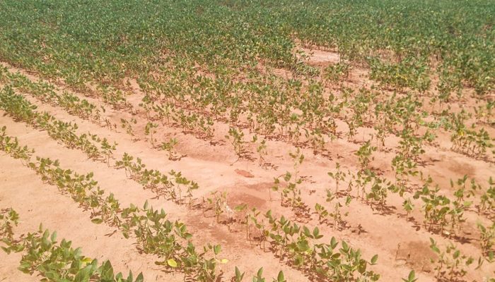 WhatsApp-Image-2019-01-11-at-16.37.44-2